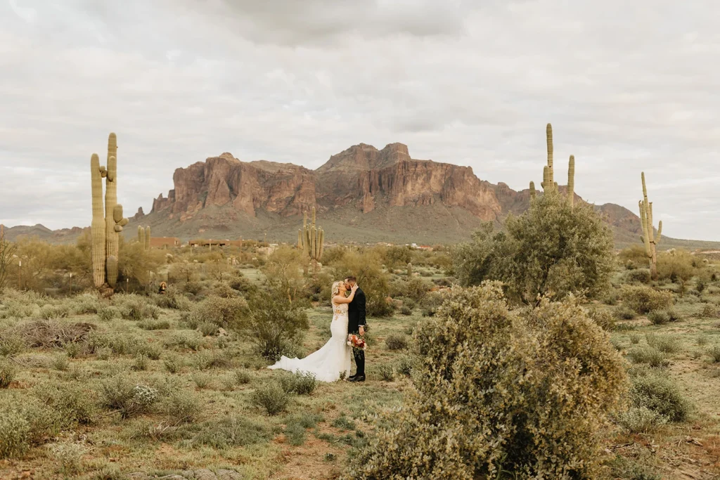 A Wedding couple stands in the middle of a desert landscape